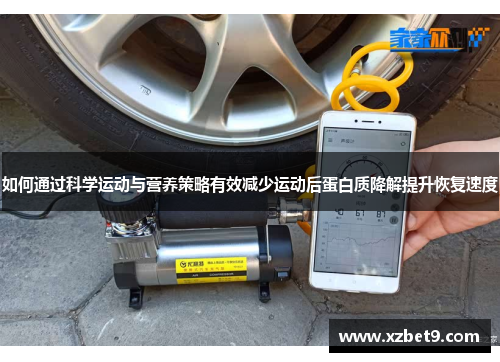 如何通过科学运动与营养策略有效减少运动后蛋白质降解提升恢复速度