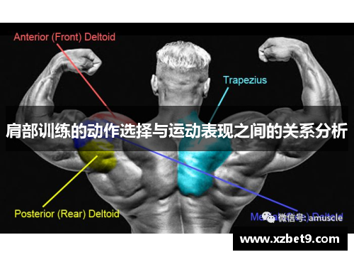 肩部训练的动作选择与运动表现之间的关系分析